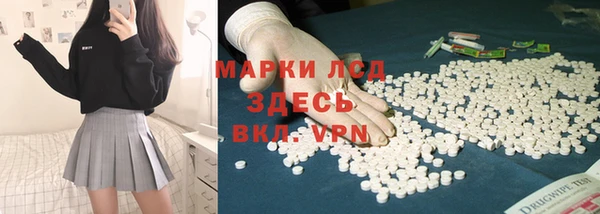 индика Армянск