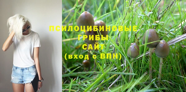 индика Армянск