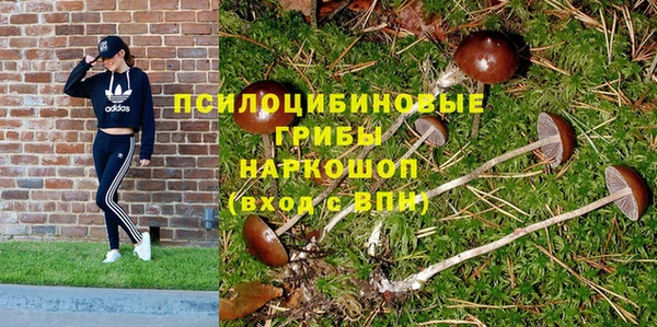 дживик Арсеньев