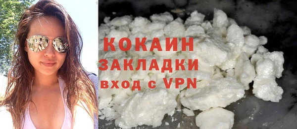 индика Армянск